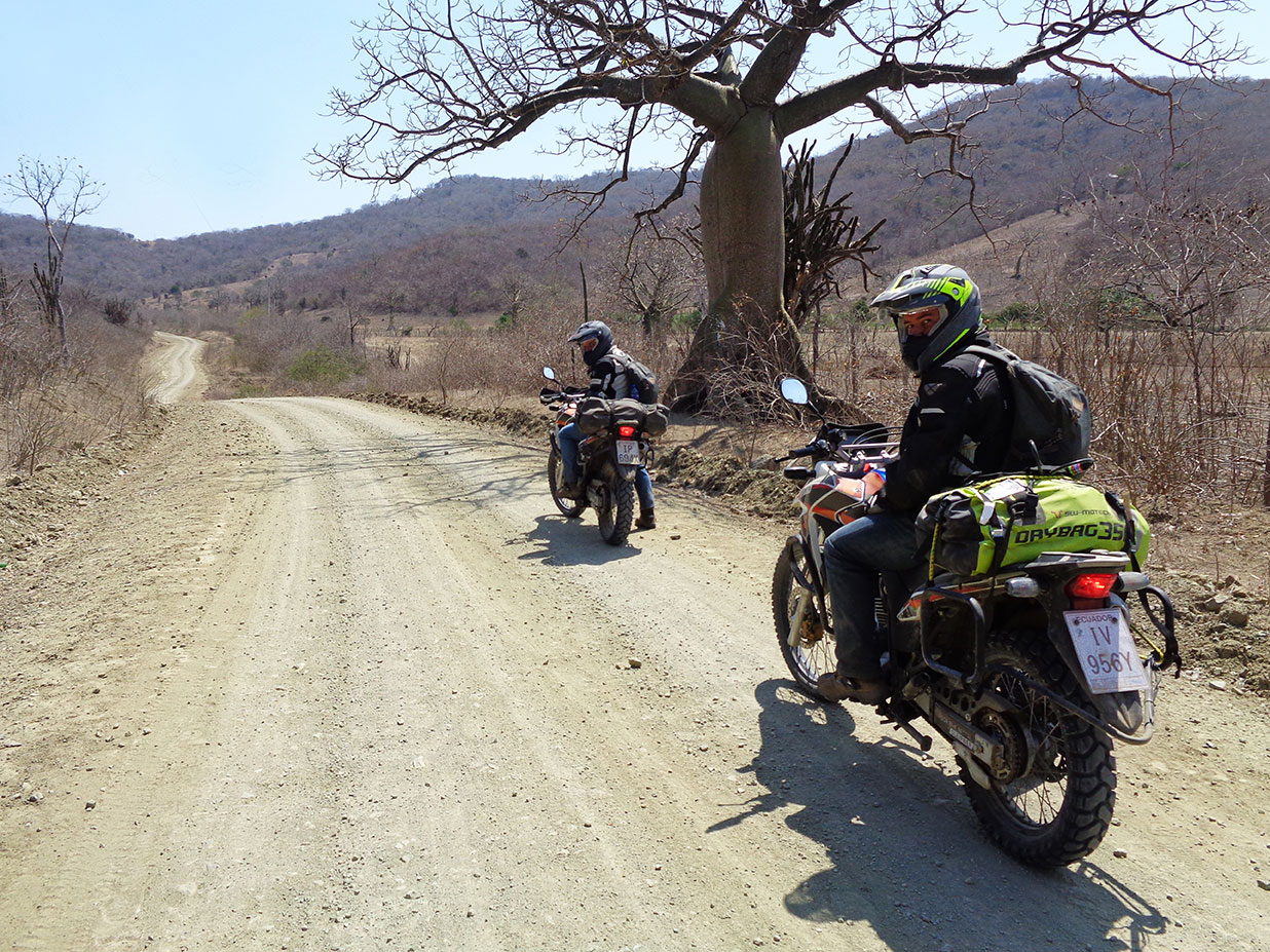 MOTOZINE