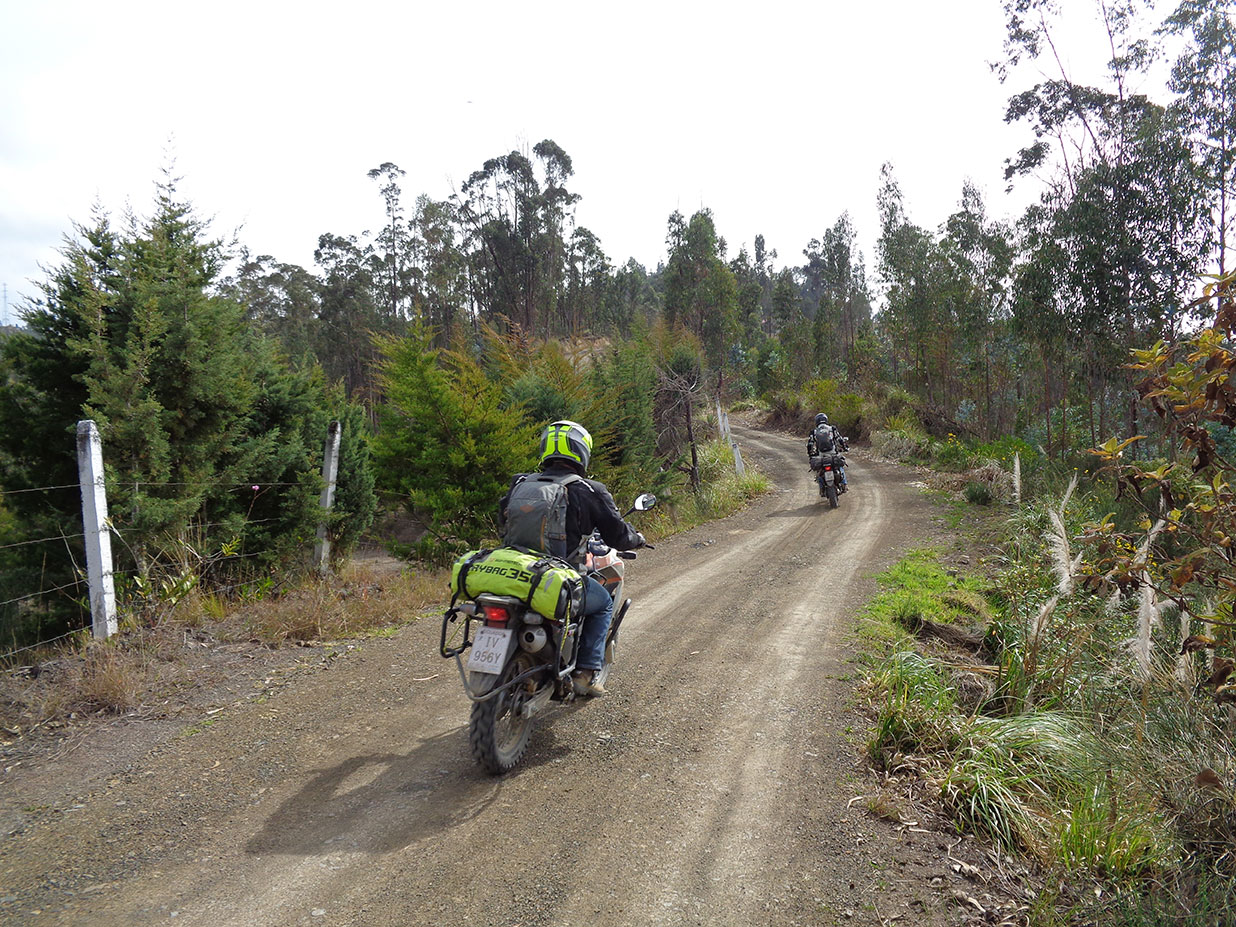 MOTOZINE