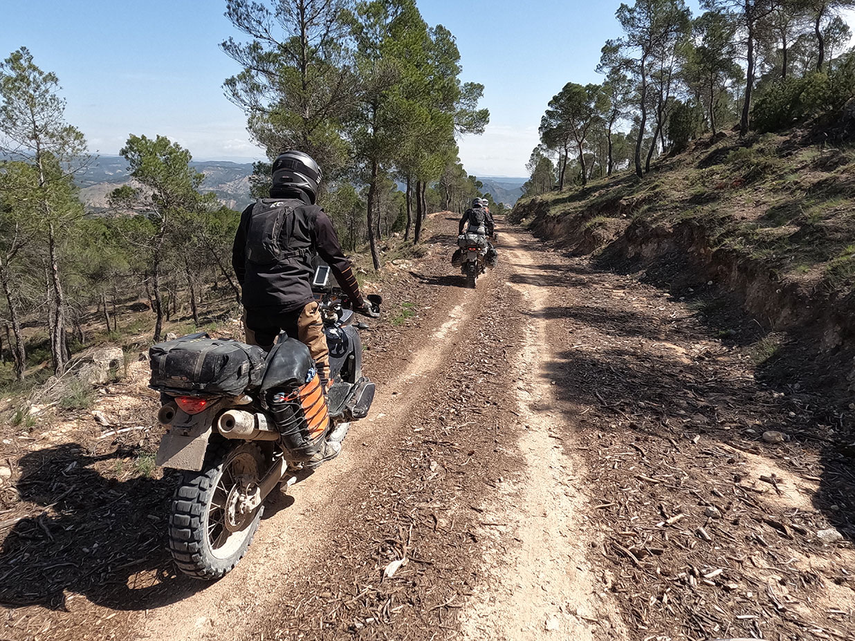 MOTOZINE