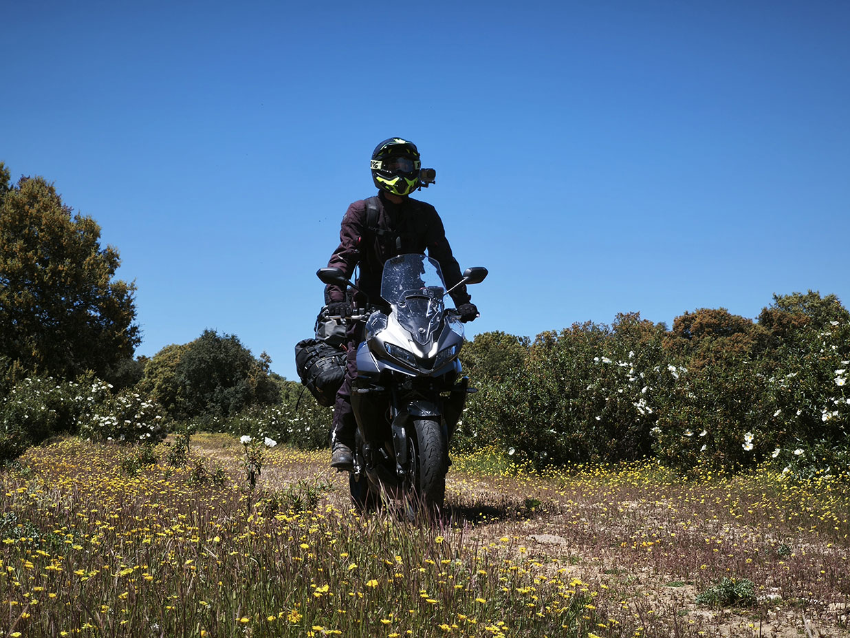 MOTOZINE